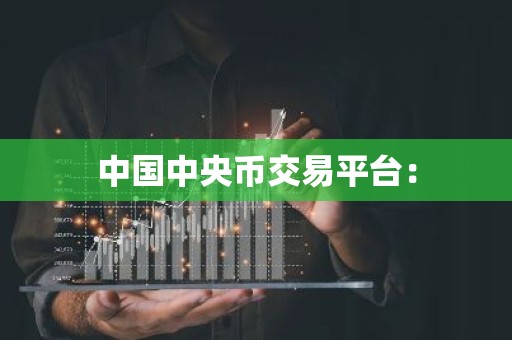 中国中央币交易平台：
