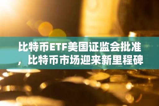比特币ETF美国证监会批准，比特币市场迎来新里程碑