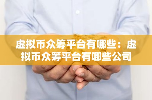虚拟币众筹平台有哪些：虚拟币众筹平台有哪些公司