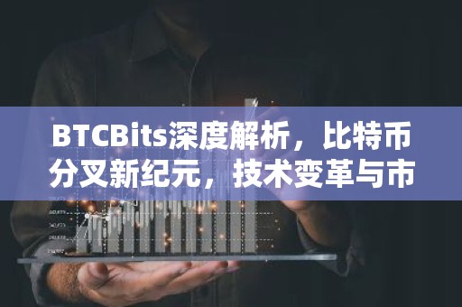 BTCBits深度解析，比特币分叉新纪元，技术变革与市场展望