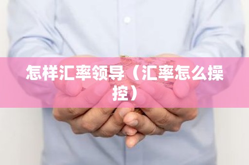 怎样汇率领导（汇率怎么操控）