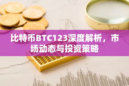 比特币BTC123深度解析，市场动态与投资策略