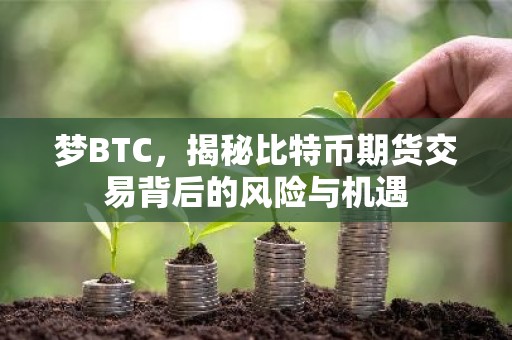 梦BTC，揭秘比特币期货交易背后的风险与机遇