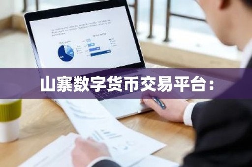 山寨数字货币交易平台：