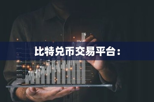比特兑币交易平台：