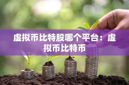 虚拟币比特股哪个平台：虚拟币比特币