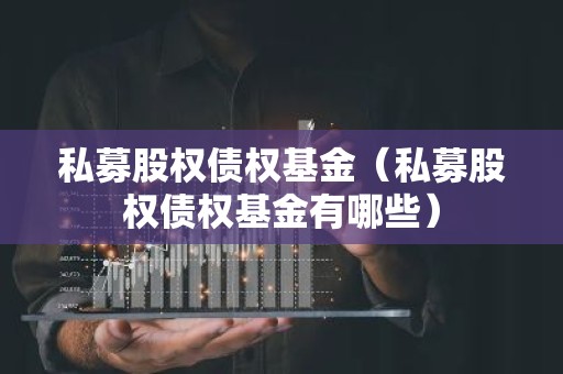 私募股权债权基金（私募股权债权基金有哪些）