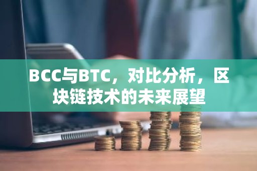 BCC与BTC，对比分析，区块链技术的未来展望