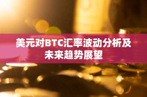 美元对BTC汇率波动分析及未来趋势展望