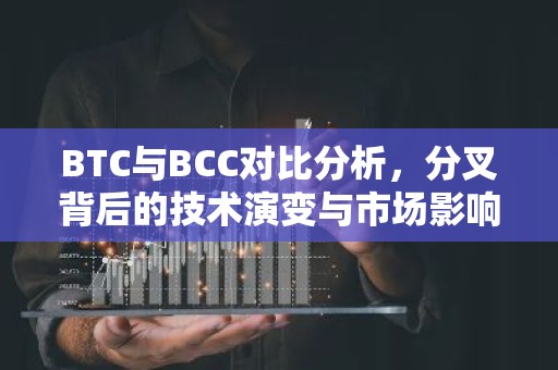 BTC与BCC对比分析，分叉背后的技术演变与市场影响