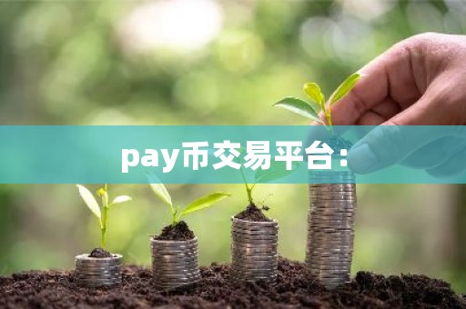 pay币交易平台：