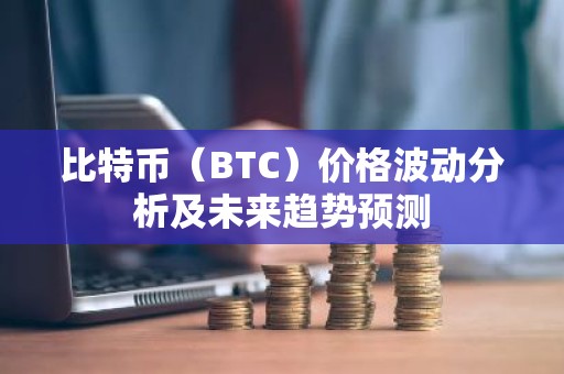 比特币（BTC）价格波动分析及未来趋势预测