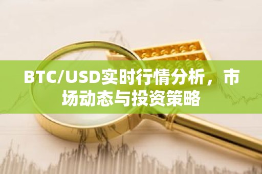 BTC/USD实时行情分析，市场动态与投资策略
