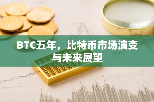 BTC五年，比特币市场演变与未来展望