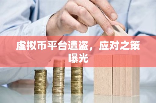 虚拟币平台遭盗，应对之策曝光