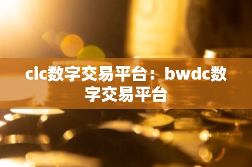 cic数字交易平台：bwdc数字交易平台
