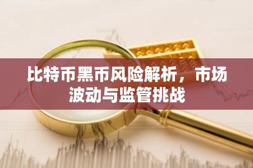 比特币黑币风险解析，市场波动与监管挑战