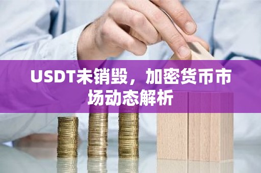 USDT未销毁，加密货币市场动态解析