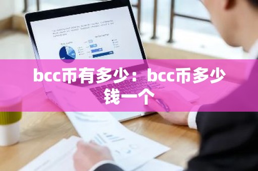 bcc币有多少：bcc币多少钱一个