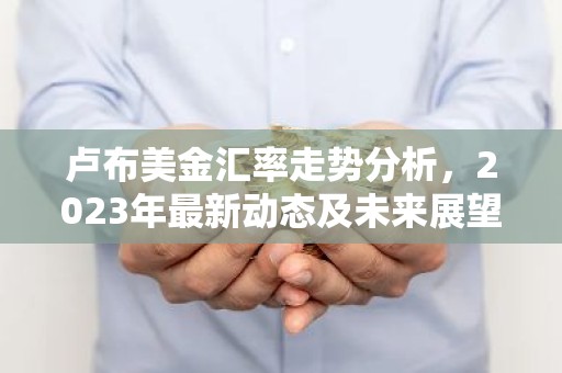 卢布美金汇率走势分析，2023年最新动态及未来展望