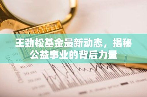 王劲松基金最新动态，揭秘公益事业的背后力量
