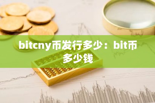 bitcny币发行多少：bit币多少钱