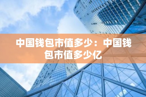 中国钱包市值多少：中国钱包市值多少亿