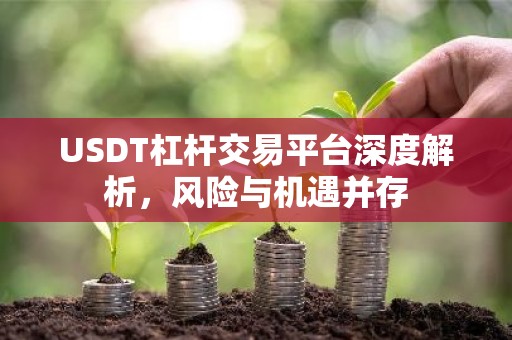 USDT杠杆交易平台深度解析，风险与机遇并存