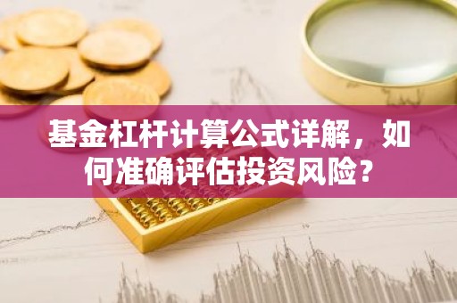 基金杠杆计算公式详解，如何准确评估投资风险？