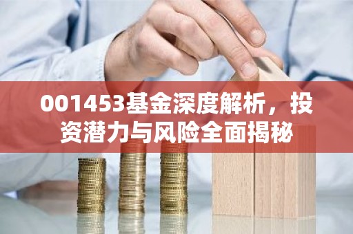 001453基金深度解析，投资潜力与风险全面揭秘