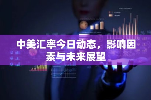 中美汇率今日动态，影响因素与未来展望