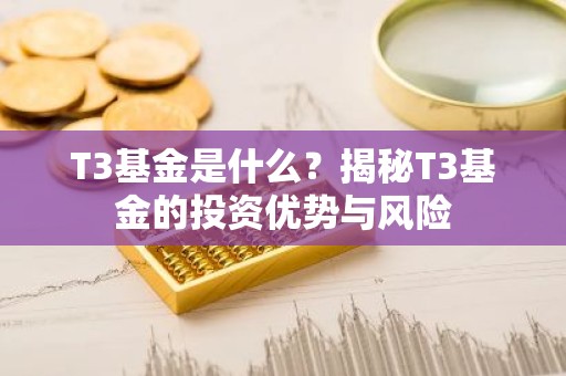 T3基金是什么？揭秘T3基金的投资优势与风险