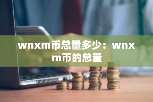 wnxm币总量多少：wnxm币的总量