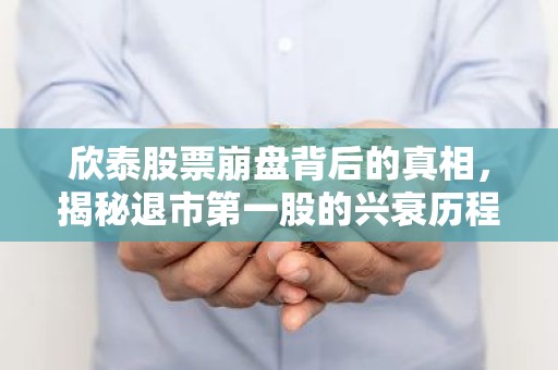 欣泰股票崩盘背后的真相，揭秘退市第一股的兴衰历程