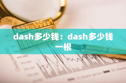 dash多少钱：dash多少钱一根