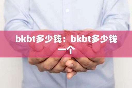 bkbt多少钱：bkbt多少钱一个