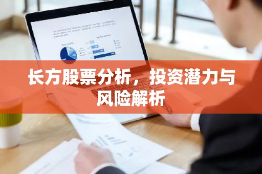 长方股票分析，投资潜力与风险解析