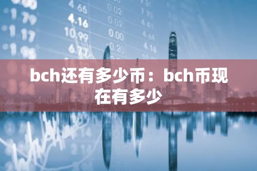 bch还有多少币：bch币现在有多少
