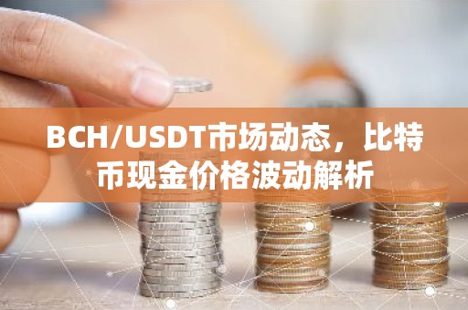 BCH/USDT市场动态，比特币现金价格波动解析
