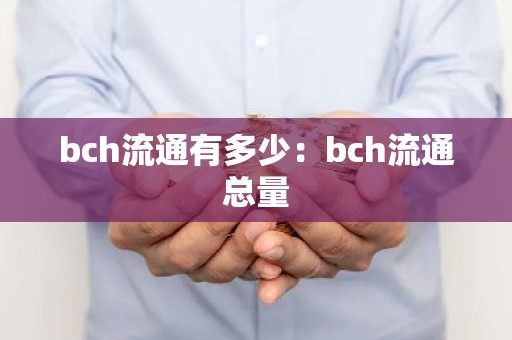 bch流通有多少：bch流通总量