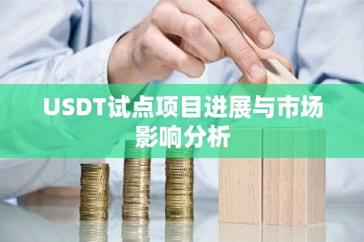 USDT试点项目进展与市场影响分析