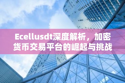 Ecellusdt深度解析，加密货币交易平台的崛起与挑战