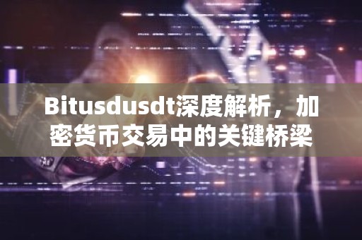 Bitusdusdt深度解析，加密货币交易中的关键桥梁