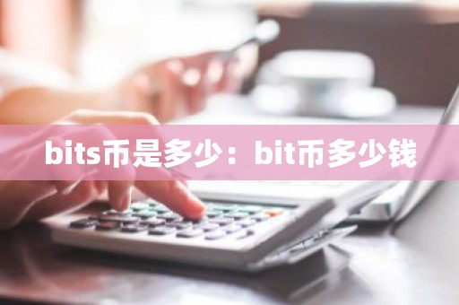bits币是多少：bit币多少钱