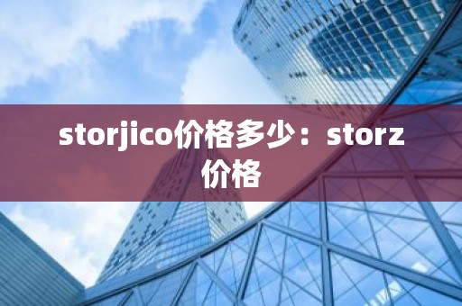 storjico价格多少：storz价格