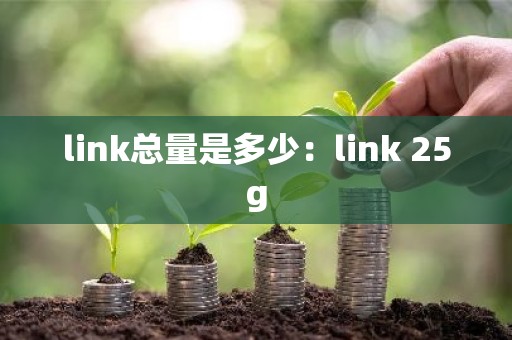 link总量是多少：link 25g