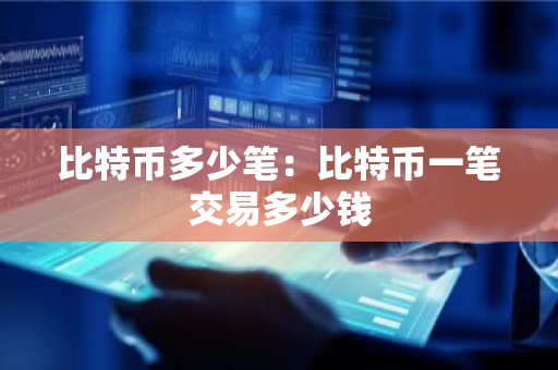 比特币多少笔：比特币一笔交易多少钱