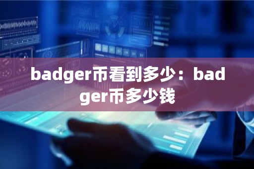 badger币看到多少：badger币多少钱