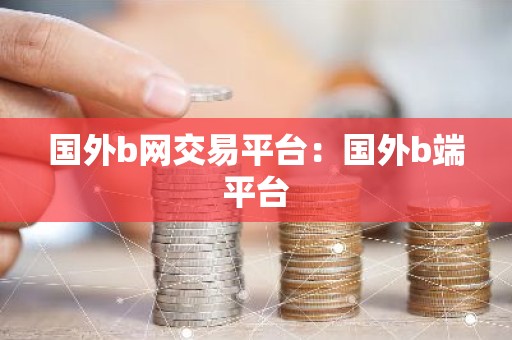国外b网交易平台：国外b端平台