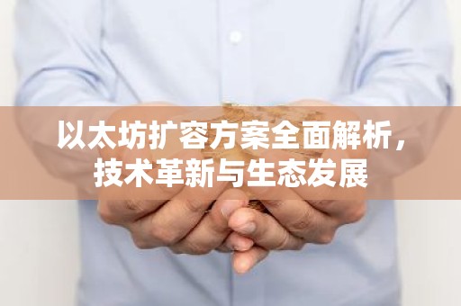 以太坊扩容方案全面解析，技术革新与生态发展